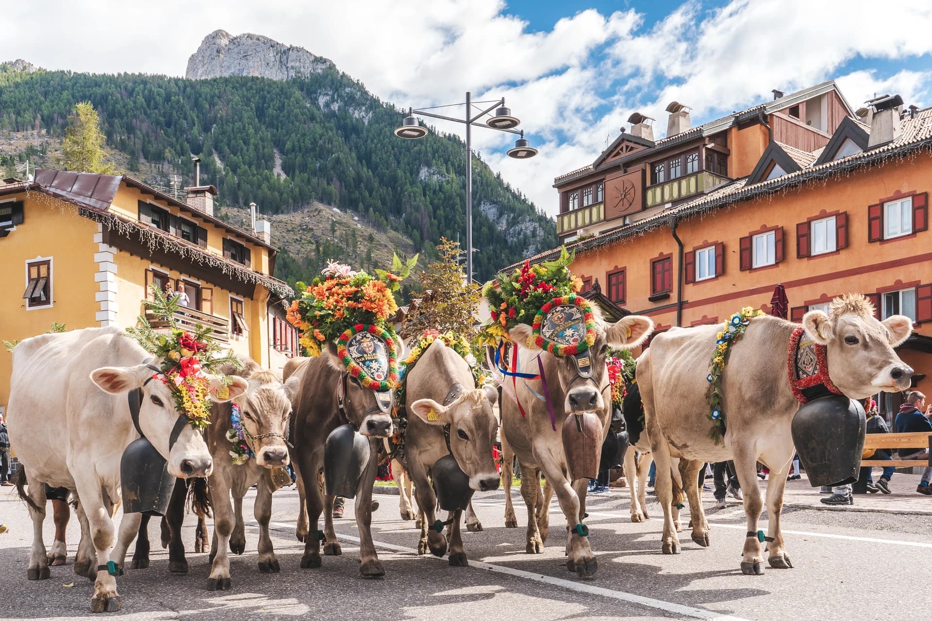 Bambini al parco avventura Dòlaondes tra gli alberi