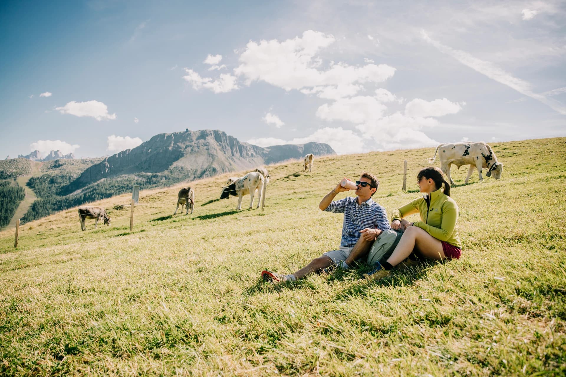 Prati del Latemar con radura tra gli alberi e vista sulle Dolomiti