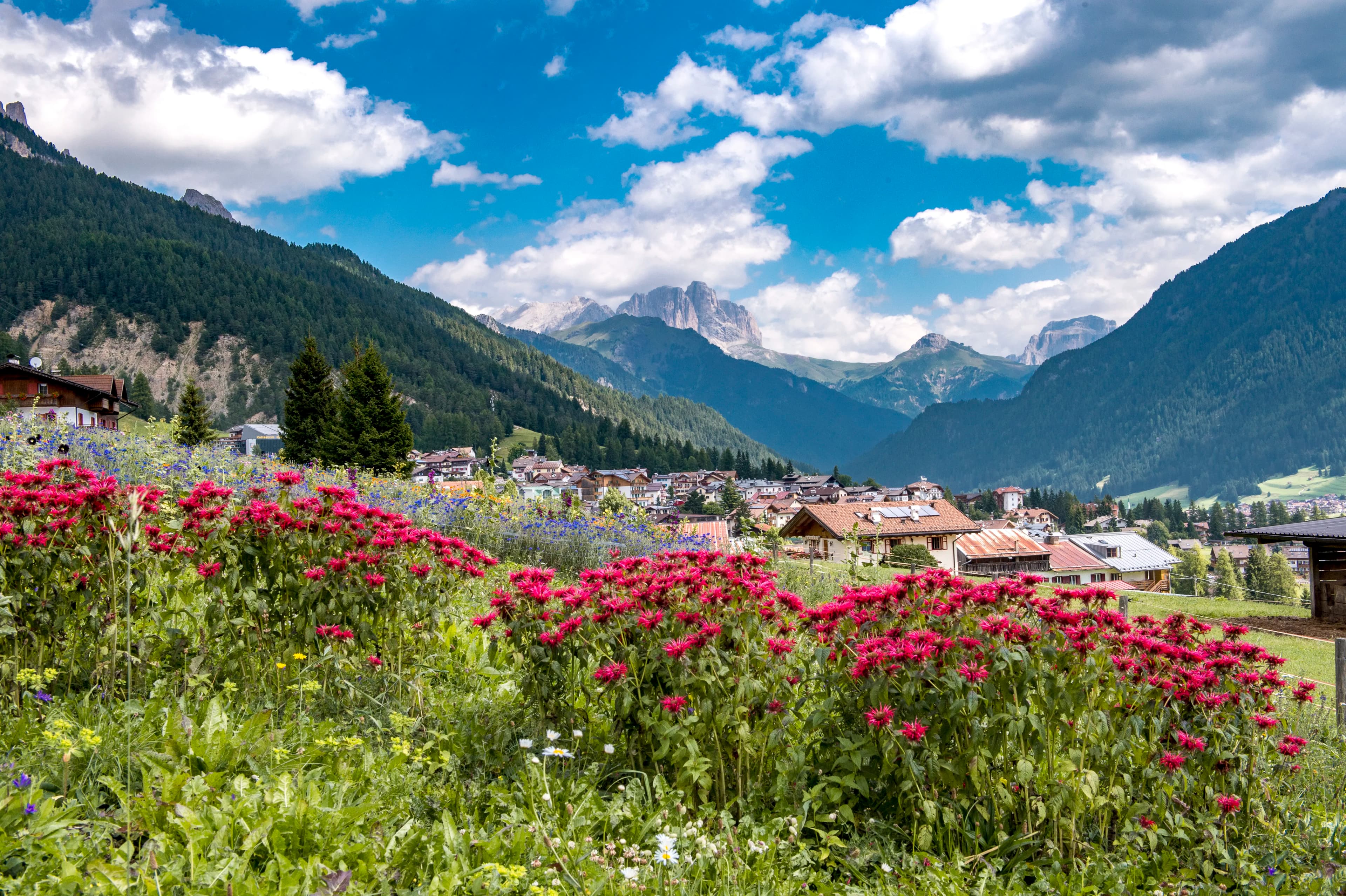 Panorama Dolomiti dal Passo Costalunga