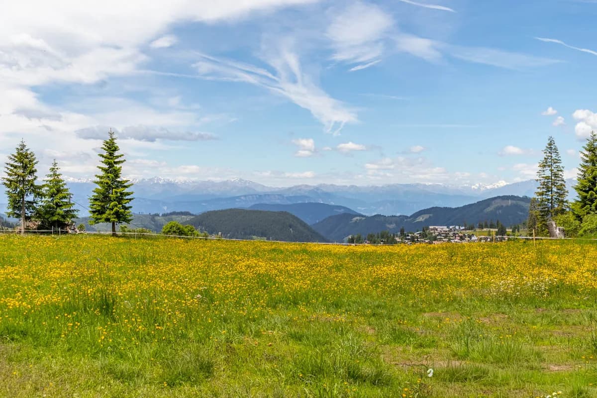 Latemar-Wiesen mit Familienpicknick und Dolomiten-Blick